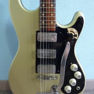 Hofner 173