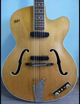 Hofner President